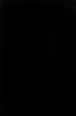 DK10602 DK10602